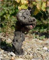 pieds de vignes_04